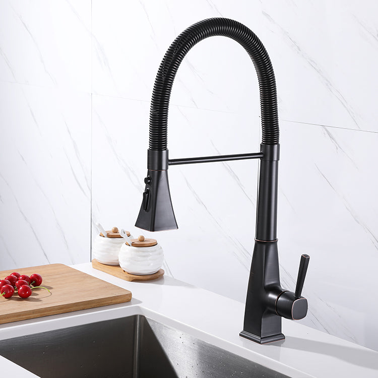 CF-15087 pull down kitchen faucet